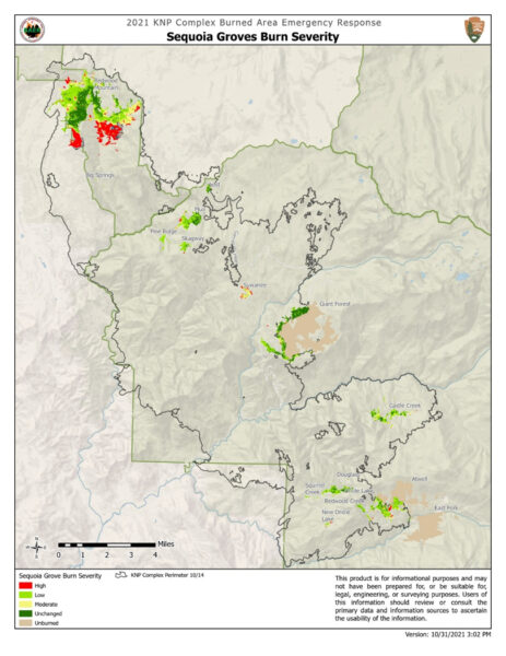 The 2021 KNP Complex Fire and Windy Fire Impacts on Sequoias – I Love Trees